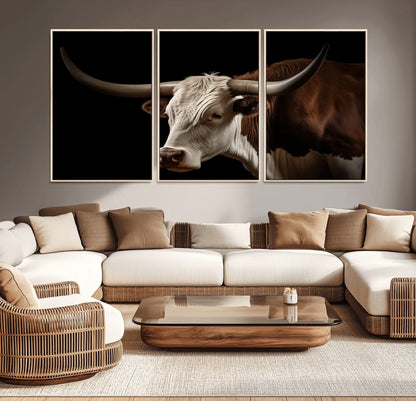 "Close-up of a brown and white longhorn cow with prominent curved horns against a black background."