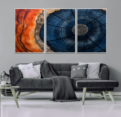 A captivating close-up of a tree trunk, showcasing its concentric rings in rich shades of blue, orange, and brown, highlighting the organic patterns of natural wood.