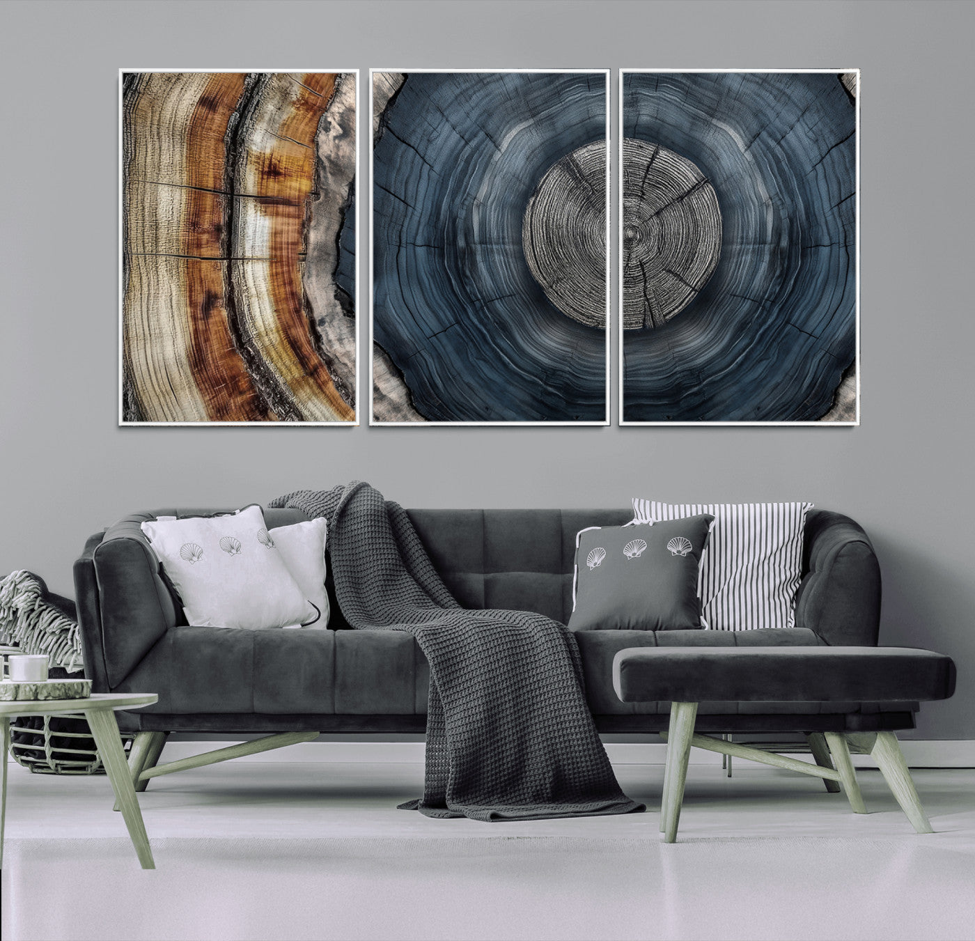 A stunning close-up of a tree trunk showing the intricate, circular growth rings, showcasing the natural textures and rich contrasts in deep blues, browns, and silvers.