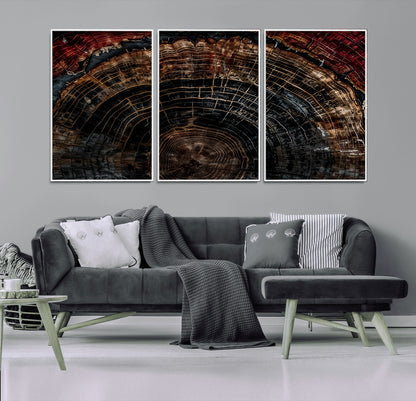 Dark Wood Wall Art Print - Petrified Tree Canvas Print, featuring an intricate tree ring pattern with deep earthy tones and organic textures, perfect for rustic and nature-inspired decor.