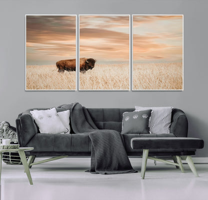 Bison Wall Art Print - Buffalo Canvas Print, featuring a lone bison in a golden prairie under a warm sunset sky, perfect for rustic and farmhouse decor.
