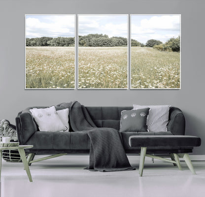 Soft-toned image of a wild daisy field under a cloudy sky, ideal for neutral or Scandinavian-inspired home decor.