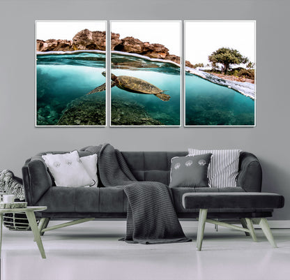 Dynamic split-view photo of a sea turtle swimming near rocky shores, perfect for vibrant coastal or tropical beach home decor.