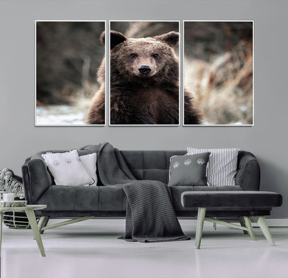 Canvas of a brown bear in soft earthy tones and moody forest light, ideal for rustic cabin or woodland nature-themed home decor.