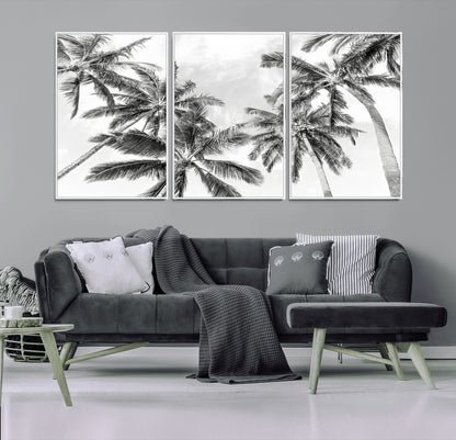 Black and white tropical palm trees viewed from below, swaying gently against a bright sky, creating a serene and elegant coastal atmosphere.
