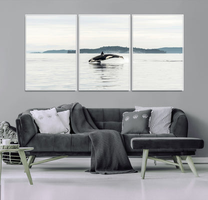 An orca jumping out of calm ocean waters with a misty island in the background, creating a serene and minimalist marine wildlife scene.
