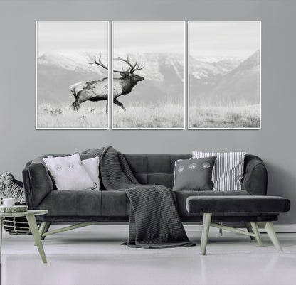 Black and white photograph of a majestic elk standing in a grassy field with snow-capped mountains in the background, creating a bold and rustic wilderness scene.