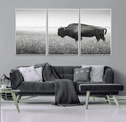 A black and white photograph of a majestic bison standing in a vast grassy prairie, evoking a sense of wilderness and strength.