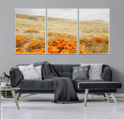 A golden field with vibrant orange poppies blooming across rolling hills under a soft, sunlit sky, creating a warm and rustic landscape.