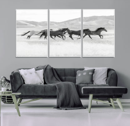 A black and white image of wild horses running freely across an open grassland, capturing the power and beauty of untamed nature in a rustic western setting.