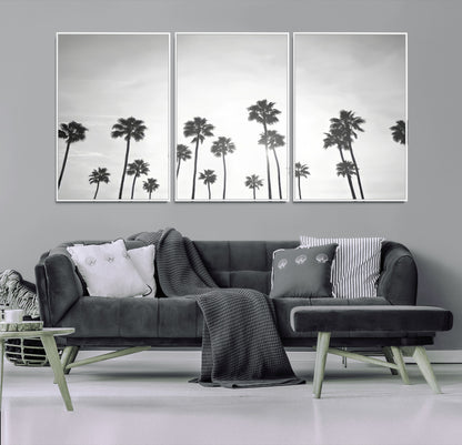 A black and white minimalist scene featuring tall palm trees silhouetted against a bright sky, creating a dreamy and timeless tropical aesthetic.