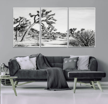 Canvas of a Joshua Tree forest in black and white tones, featuring a desert path and spiky vegetation, ideal for minimalist or rustic decor.