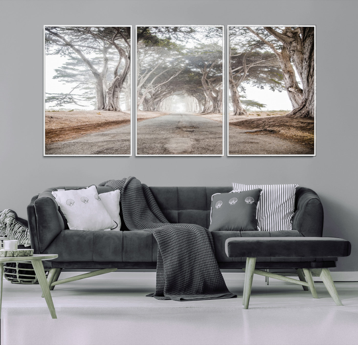 Canvas of a misty tree tunnel with arching cypress trees and an earthy road, ideal for rustic or coastal nature decor.