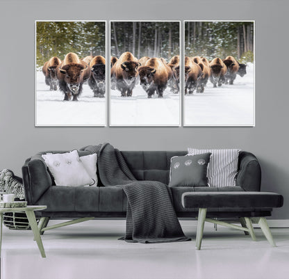 A herd of American bisons walking through a snowy forest path, perfect for rustic cabin or Western-themed wall decor.