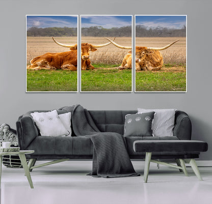 Two longhorn cows lying on green grass in front of a golden field and trees under a blue sky, perfect for rustic country wall decor.
