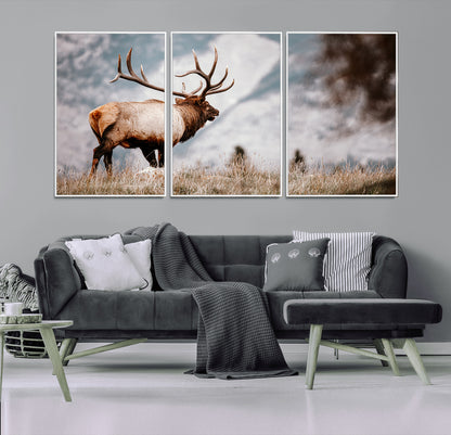 Majestic elk with large antlers standing in grass with snowy mountains in background, perfect for rustic cabin or lodge style decor.