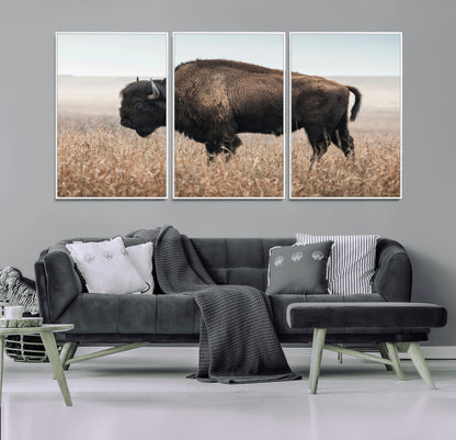 A lone bison stands in a vast prairie under a soft sky, evoking freedom and rustic charm for western or farmhouse inspired interiors.