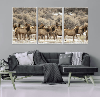 A large herd of elk standing in an open field with soft earthy tones, ideal for rustic lodge or western-themed home wall decor.