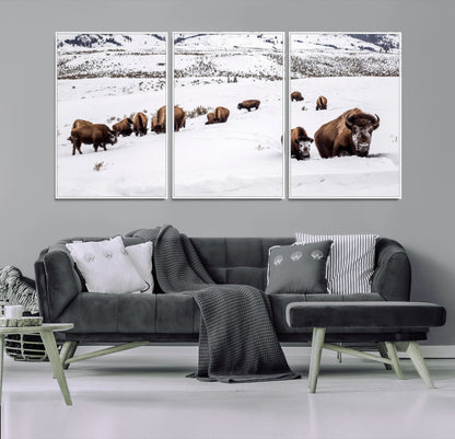 A herd of bison walking through deep snow in a mountain valley, perfect for rustic, cabin or western-themed wall decor.