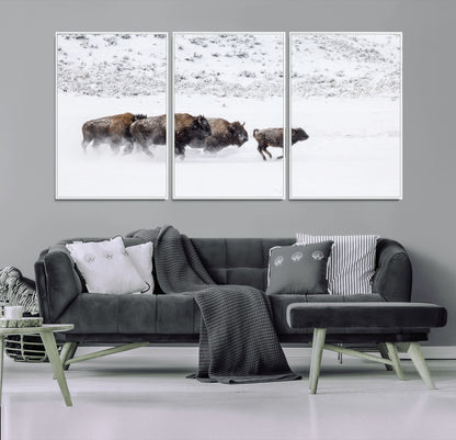 Bison herd running through a snowy open field with mountain backdrop, perfect for rustic or western-themed wall decoration.