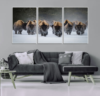 A herd of American bisons walking through deep snow in a forest, evoking a powerful rustic wilderness mood for western-style interiors.