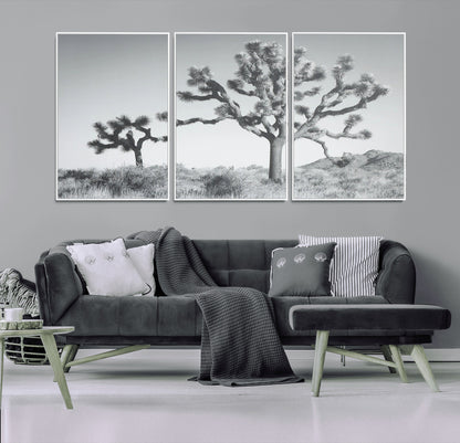 Black and white Joshua tree in a desert landscape with soft light and dry brush, perfect for rustic or minimalist home decor.