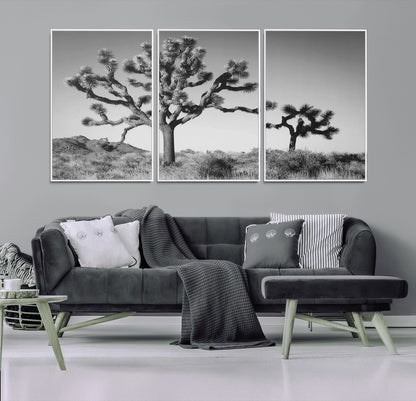 Black and white Joshua trees in a rugged desert landscape, creating a calm and minimalist feel for natural or rustic-themed interiors.