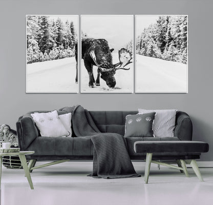A majestic moose grazing in the snow-covered wilderness, surrounded by snow-covered trees, creating a peaceful winter scene.