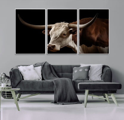 "Close-up of a brown and white longhorn cow with prominent curved horns against a black background."