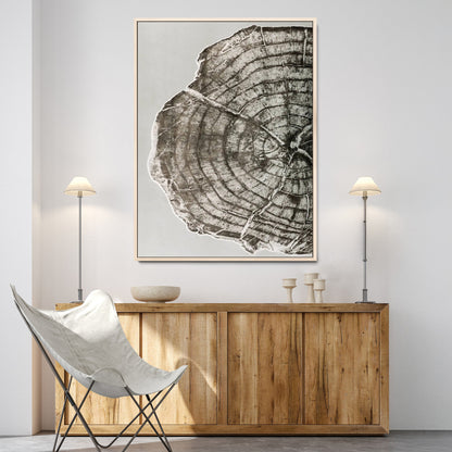 A close-up tree ring cross-section with neutral tones and organic texture, perfect for rustic, modern, or minimalist interior wall decor.