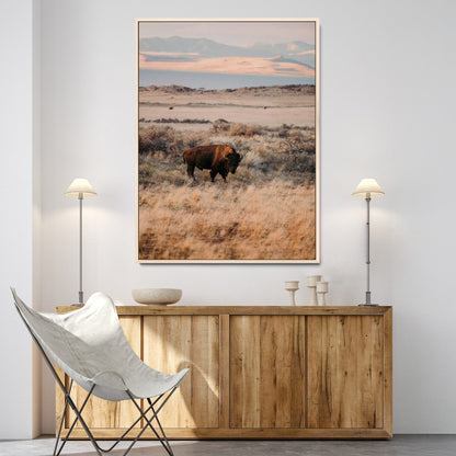 A solitary bison standing in golden prairie grass with distant mountains and soft sunset light, ideal for rustic, lodge, and western decor.