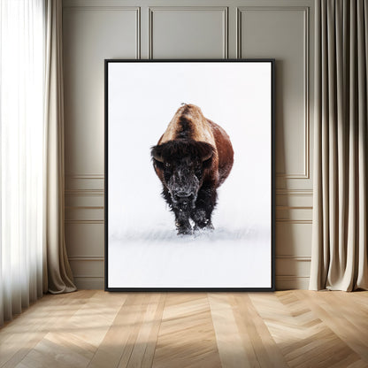 Front view of a strong bison walking in deep snow, isolated white background, perfect for rustic or lodge-style home decor.