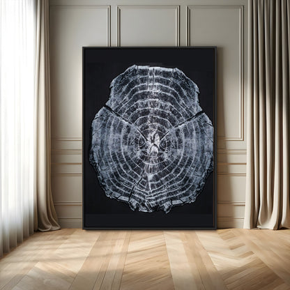 Monochrome tree ring cross-section on black background, showing detailed growth lines, perfect for modern rustic or minimalist interiors. (