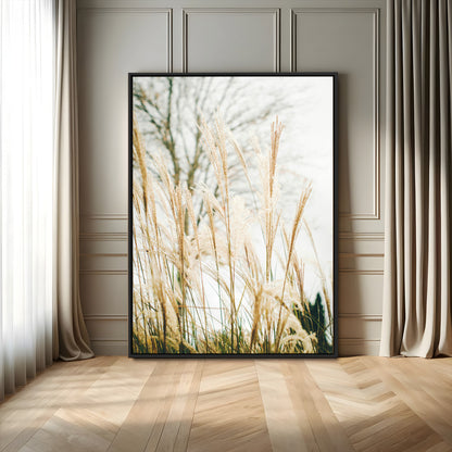 Soft beige pampas grass swaying in the breeze against a muted sky, creating a tranquil and minimalist botanical aesthetic.