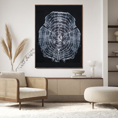 Monochrome tree ring cross-section on black background, showing detailed growth lines, perfect for modern rustic or minimalist interiors. (