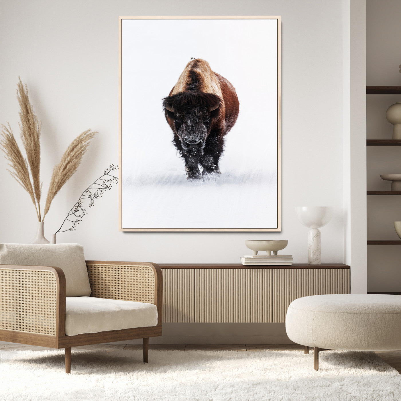 Front view of a strong bison walking in deep snow, isolated white background, perfect for rustic or lodge-style home decor.