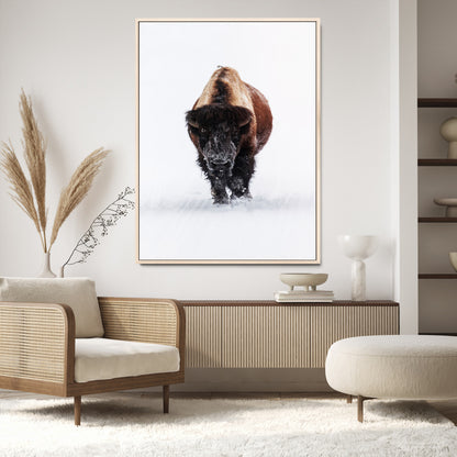 Front view of a strong bison walking in deep snow, isolated white background, perfect for rustic or lodge-style home decor.