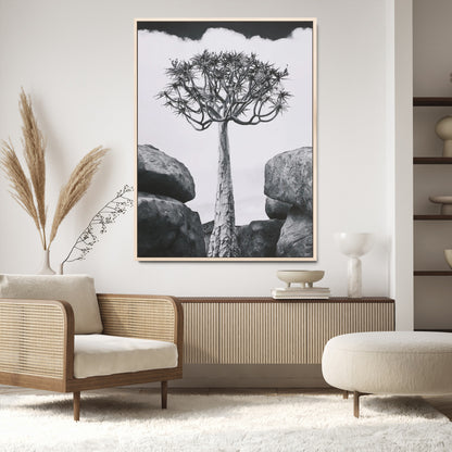 Tall desert tree in black and white, standing between large rocks, perfect for bold and minimalist nature-themed interior spaces.