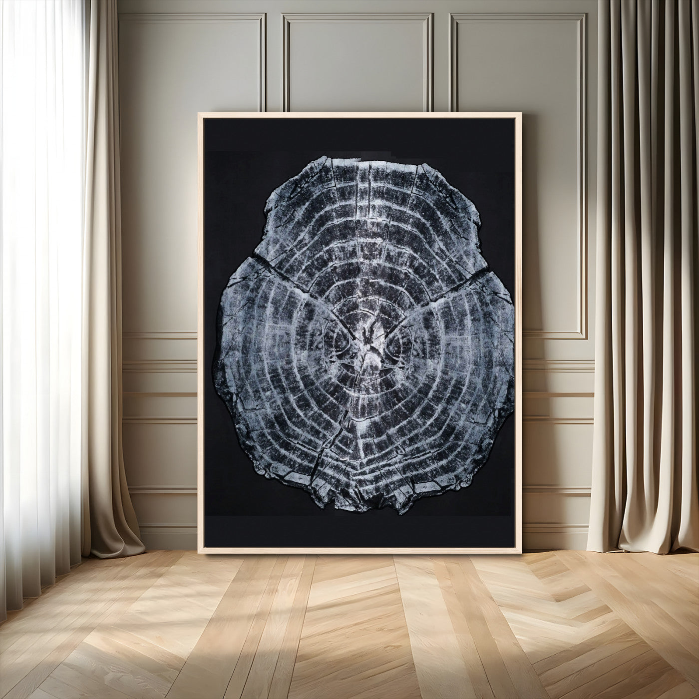 Monochrome tree ring cross-section on black background, showing detailed growth lines, perfect for modern rustic or minimalist interiors. (