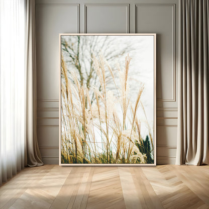 Soft beige pampas grass swaying in the breeze against a muted sky, creating a tranquil and minimalist botanical aesthetic.