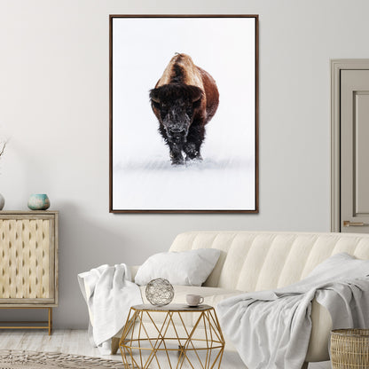 Front view of a strong bison walking in deep snow, isolated white background, perfect for rustic or lodge-style home decor.
