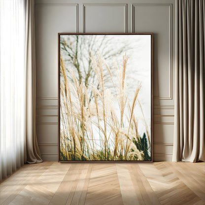 Soft beige pampas grass swaying in the breeze against a muted sky, creating a tranquil and minimalist botanical aesthetic.