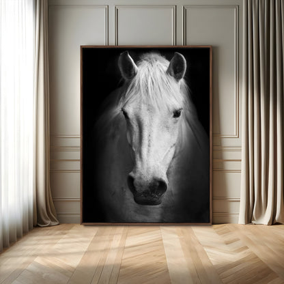Large Wall Art White Horse on Black Background Canvas Print