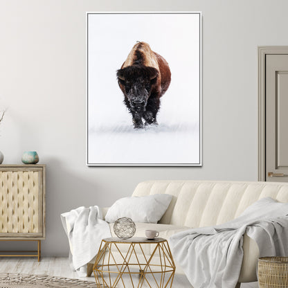 Front view of a strong bison walking in deep snow, isolated white background, perfect for rustic or lodge-style home decor.