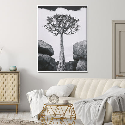 Tall desert tree in black and white, standing between large rocks, perfect for bold and minimalist nature-themed interior spaces.