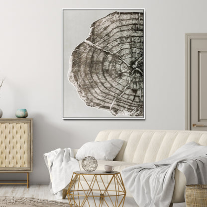 A close-up tree ring cross-section with neutral tones and organic texture, perfect for rustic, modern, or minimalist interior wall decor.
