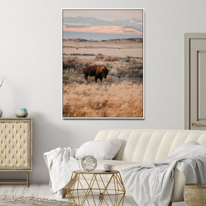 A solitary bison standing in golden prairie grass with distant mountains and soft sunset light, ideal for rustic, lodge, and western decor.