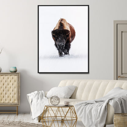 Front view of a strong bison walking in deep snow, isolated white background, perfect for rustic or lodge-style home decor.