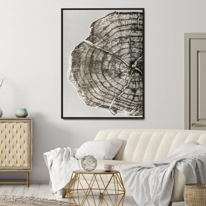A close-up tree ring cross-section with neutral tones and organic texture, perfect for rustic, modern, or minimalist interior wall decor.