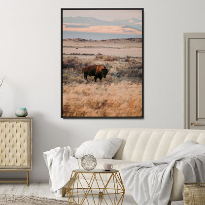 A solitary bison standing in golden prairie grass with distant mountains and soft sunset light, ideal for rustic, lodge, and western decor.